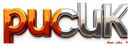 pucuk slot